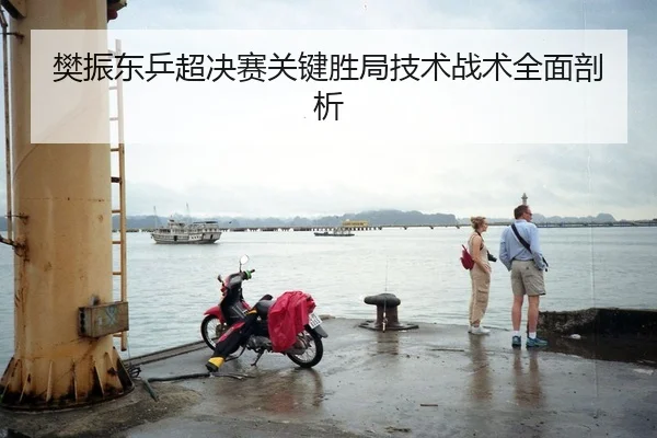 樊振东乒超决赛关键胜局技术战术全面剖析